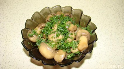 Marinate champignons - rețete simple