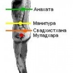 Медитація хрест будди