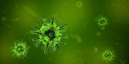 A mikrobák erősítik az immunrendszert a gyermekek - Könyvtár - Dr. Komarovsky