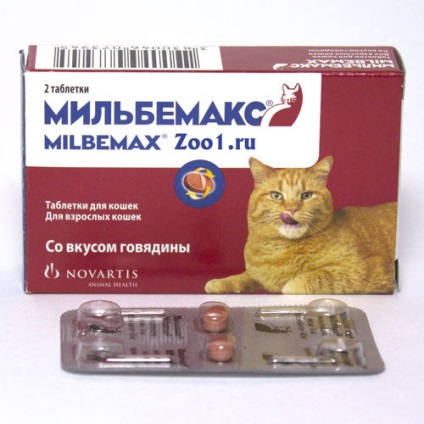 Milbemax de la viermi moduri de utilizare la câini și pisici, eficacitate