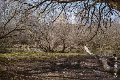 Мінська сієста Курасовщіна - опинитися всередині бутерброда, журнал про Мінську