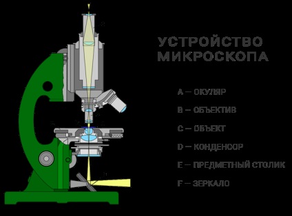 Microscopul monocular în Rusia - cum să alegi și să cumperi