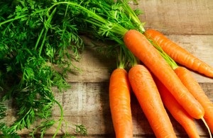 Морквяна бадилля застосування і протипоказання - woman s day