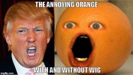 Докучливий апельсин (annoying orange), memepedia