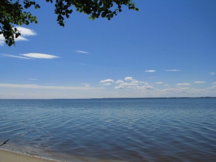 Найбільш характерні місця проживання щуки на озерах і водосховищах