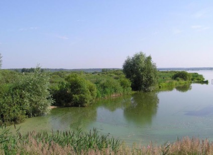 Нарський ставки фото, опис та відгуки