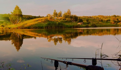 Нарський ставки - огляд водойм, ціни на риболовлю, особливості та відгуки рибалок