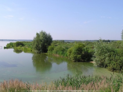 Нарський ставки - рибалка, риба водойм, відгуки, ціни, послуги та контакти