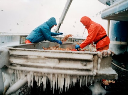 Ez az ember munkáját Alaska - „a munka egy halász a Bering-tenger” (Bering) Ez az ember munkáját Alaska - „a munka egy halász a Bering-tenger”