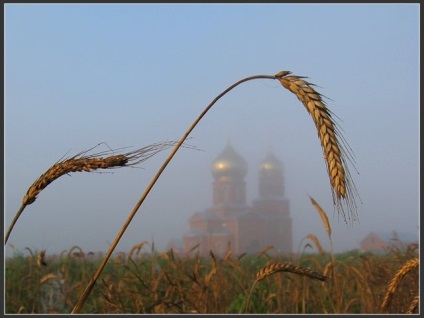 Не хлібом самим буде жити людина », православне життя