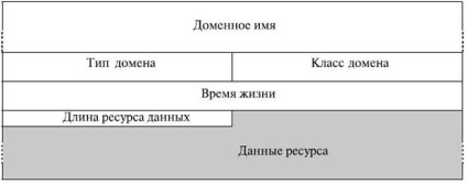 Cunoștințe, prelegere, sistem de nume de domeniu