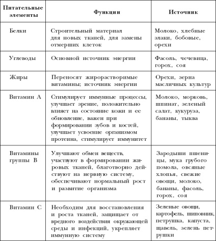 Általános alapelvek etetés (etetés) Az általános elvek a takarmányozás
