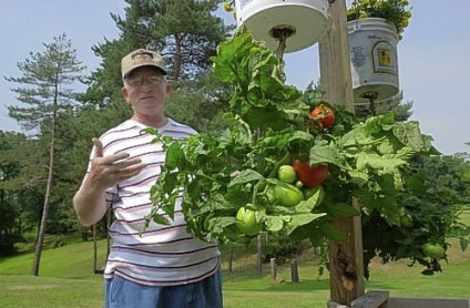 O grădină cu capul în jos sau plantele în creștere într-o formă inversată, efari