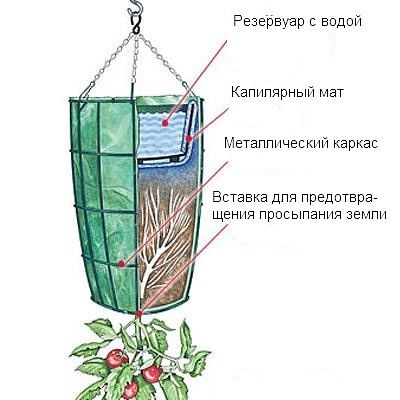 O grădină cu capul în jos sau plantele în creștere într-o formă inversată, efari