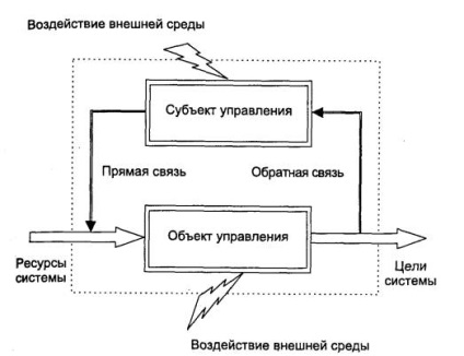 Descrierea întreprinderii ca sistem cibernetic