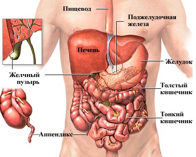 Пухлина в животі причини