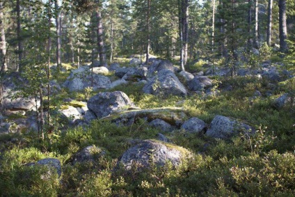 Insula Koyonsaari - un paradis de perle din Karelia