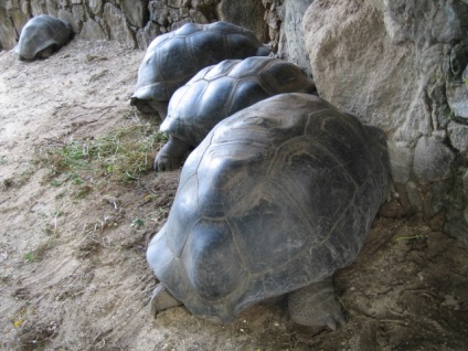 Insula La Digue