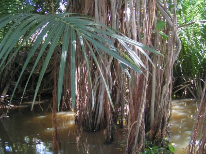 Pangkor-sziget, Malajzia - nyaralás, időjárás, vélemények, fotók