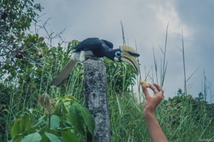 Insula Pangkor, Malaezia - călătorește 4 excursii live-round-the-world