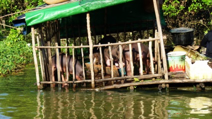 Tonle Sap-tó