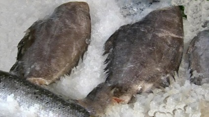 Halibut beneficiază și dăunează organismului bărbaților și femeilor