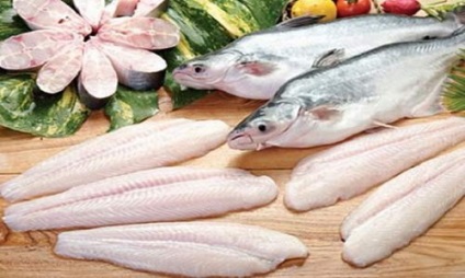 Pangasius beneficiu și rău, proprietăți utile