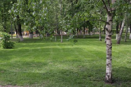 Park Krasnopresnensky (domének relax-in-Moszkva képek) Park Krasnopresnensky