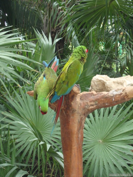 Parcul de peisaje - Parcul ecologic și cultural din Mexic, foto, recenzii