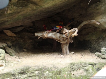 Xcaret Park - ökológiai és kulturális park Mexikóban, fotó, vélemények