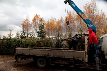 Kennel de plante ornamentale de lemn și arbuști