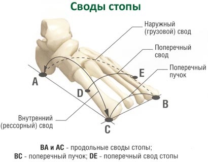 Aplicarea cauzelor, semnelor, simptomelor, tratamentului și prevenirii