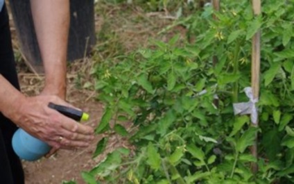 Pro și contra de lichide de tratare a plantelor din Burgundia