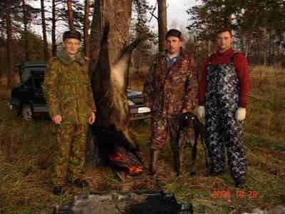 Prompt ahol az edző husky - népszerű fegyver