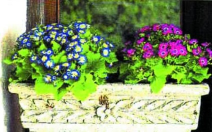 Lógó virágládák az erkélyen - opció fotók