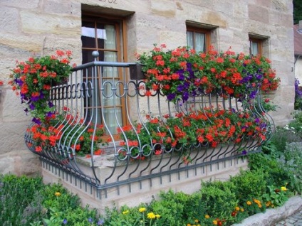 Dulapuri de flori suspendate pe balcon - fotografii ale opțiunilor