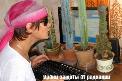 Vajon kaktusz answiki számítógép sugárzás - kérdések és válaszok
