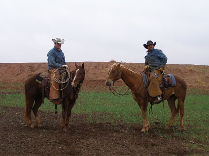 Szabályzata élet a cowboy