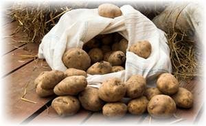 Depozitarea corectă a cartofilor sau cum să maximizați recolta! Viața mea