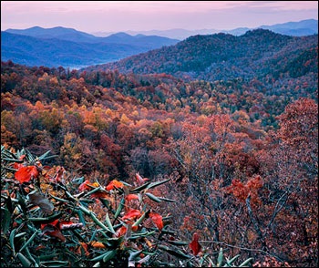 Nature, Georgia, USA enciklopédia