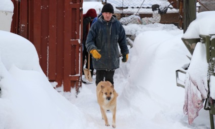 Adăpostul pentru câini din Katunino sub Arhangelsk se îneacă în zăpadă