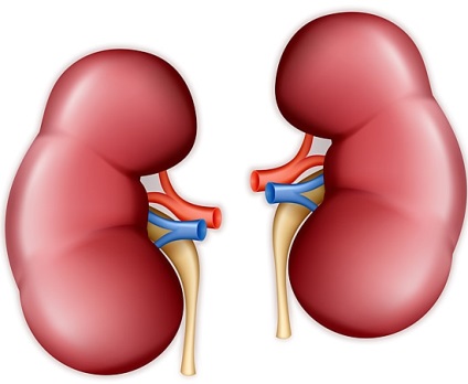 Ознаки хвороби нирок