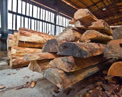 Producere de ferestre din lemn principale (productie) Productie de ferestre principale din lemn