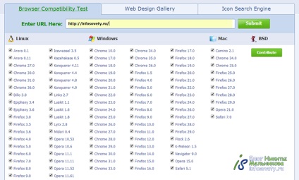 Verificarea afișării site-ului în browsere