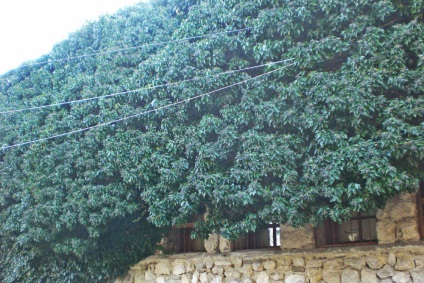 Călătorie de la Varna la Pomorie