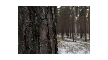 П'ять незвичайних способів зробити фотографії цікавіше, сей-хай