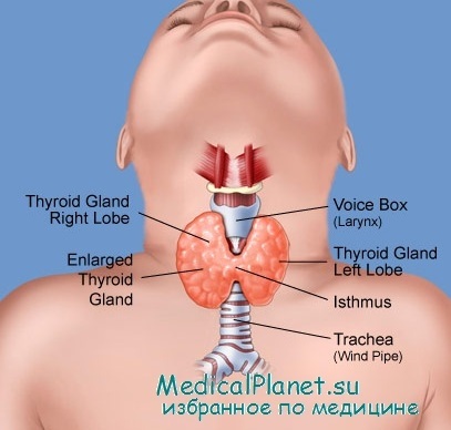 Prevalența (epidemiologia) bolilor glandei tiroide