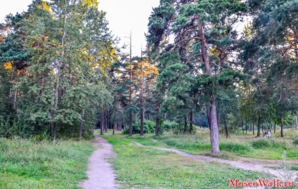 Район Новокосіно - прогулянки по москві, прогулянки