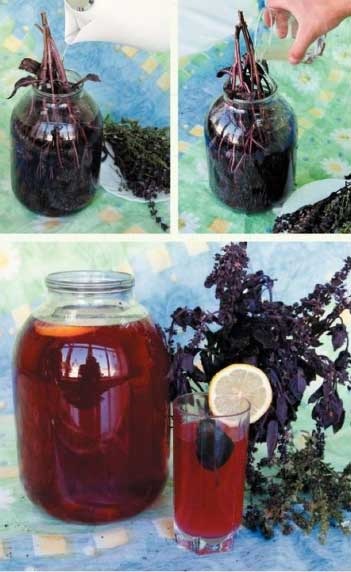 tea receptek kerti virágok, a kezében -, hogyan lehet a legtöbbet (tea) tea receptek kerti virágok, a kezében -, hogyan lehet a legjobban
