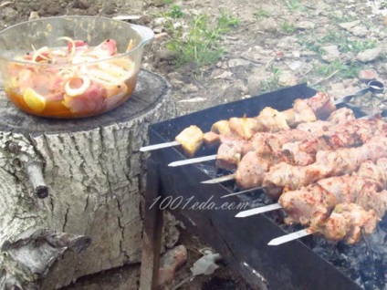 Rețetă pentru carne de porc shish kebab - shish kebab din carne de porc de la 1001 de produse alimentare